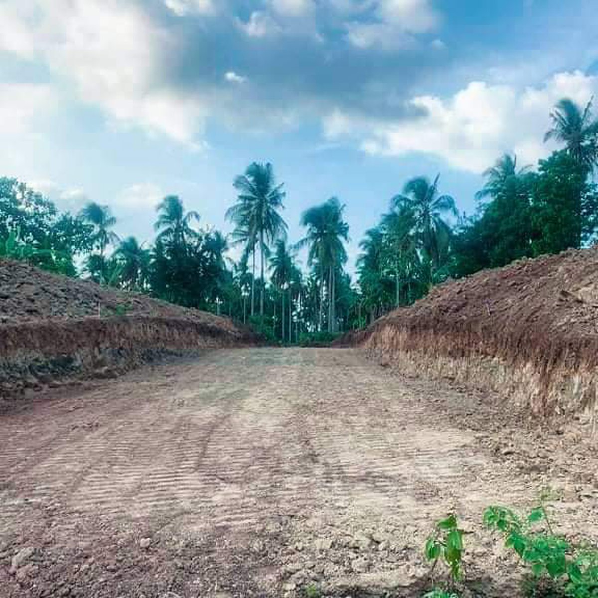 250 sqm Residential Lot For Sale in Magallanes Cavite [Lot 🚜] (May 2024