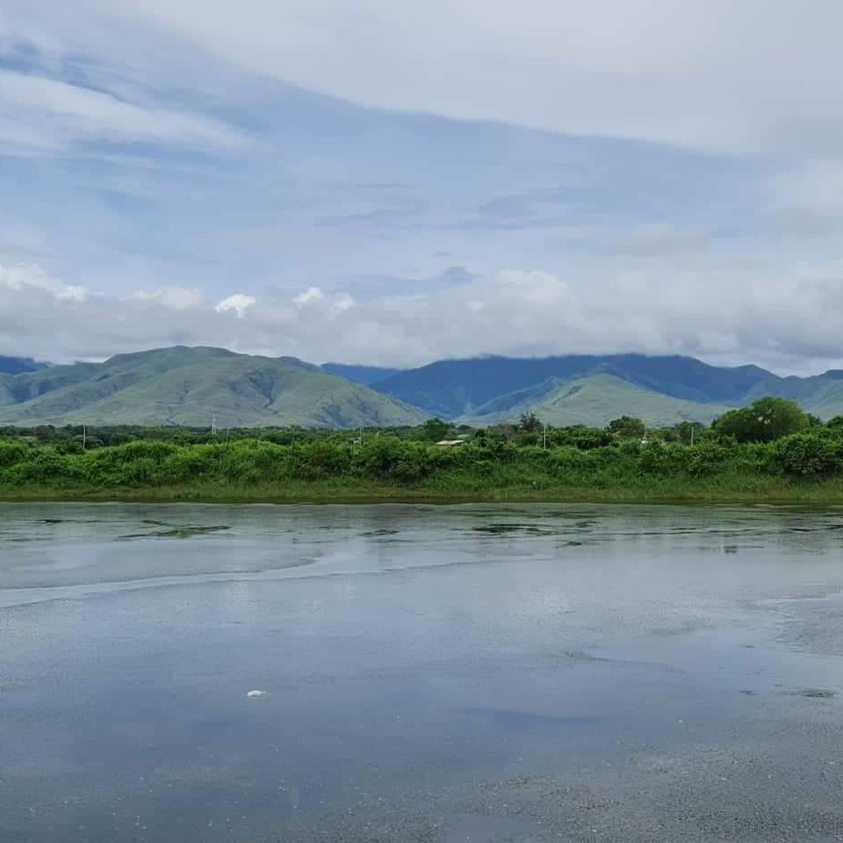 120000 sqm Fishpond For Sale in Iba Zambales [Lots 🚜] (September 2024
