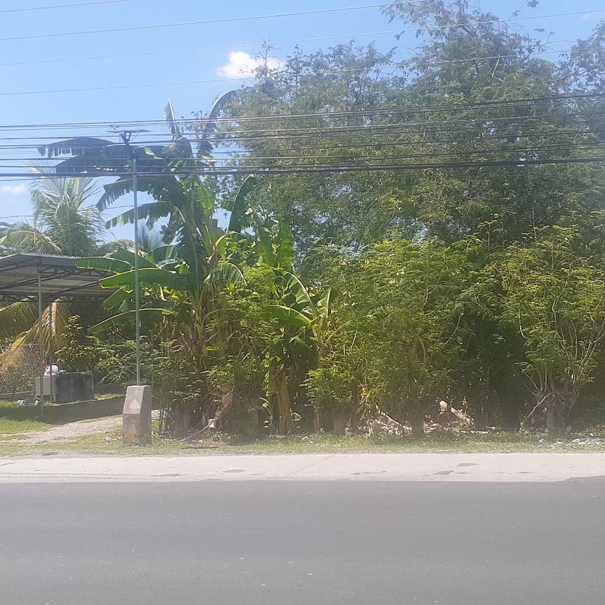 Commercial lot For Sale in Pangasinan Property 🏭
