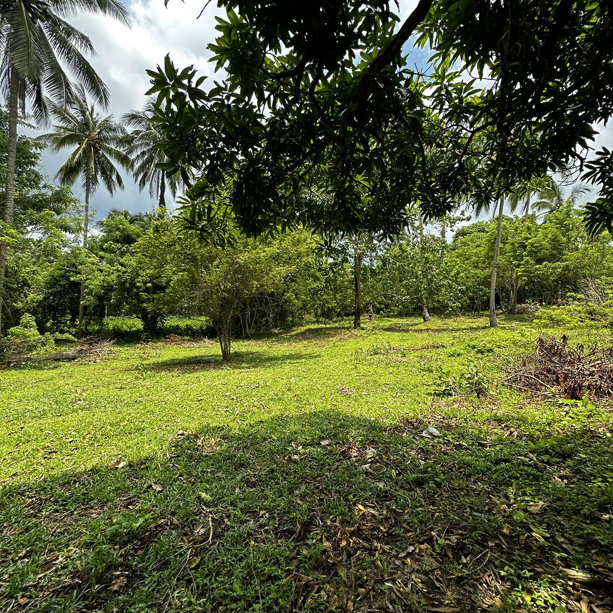Minimum 150 sqm Residential Lot For Sale in Indang Cavite [Lot 🚜