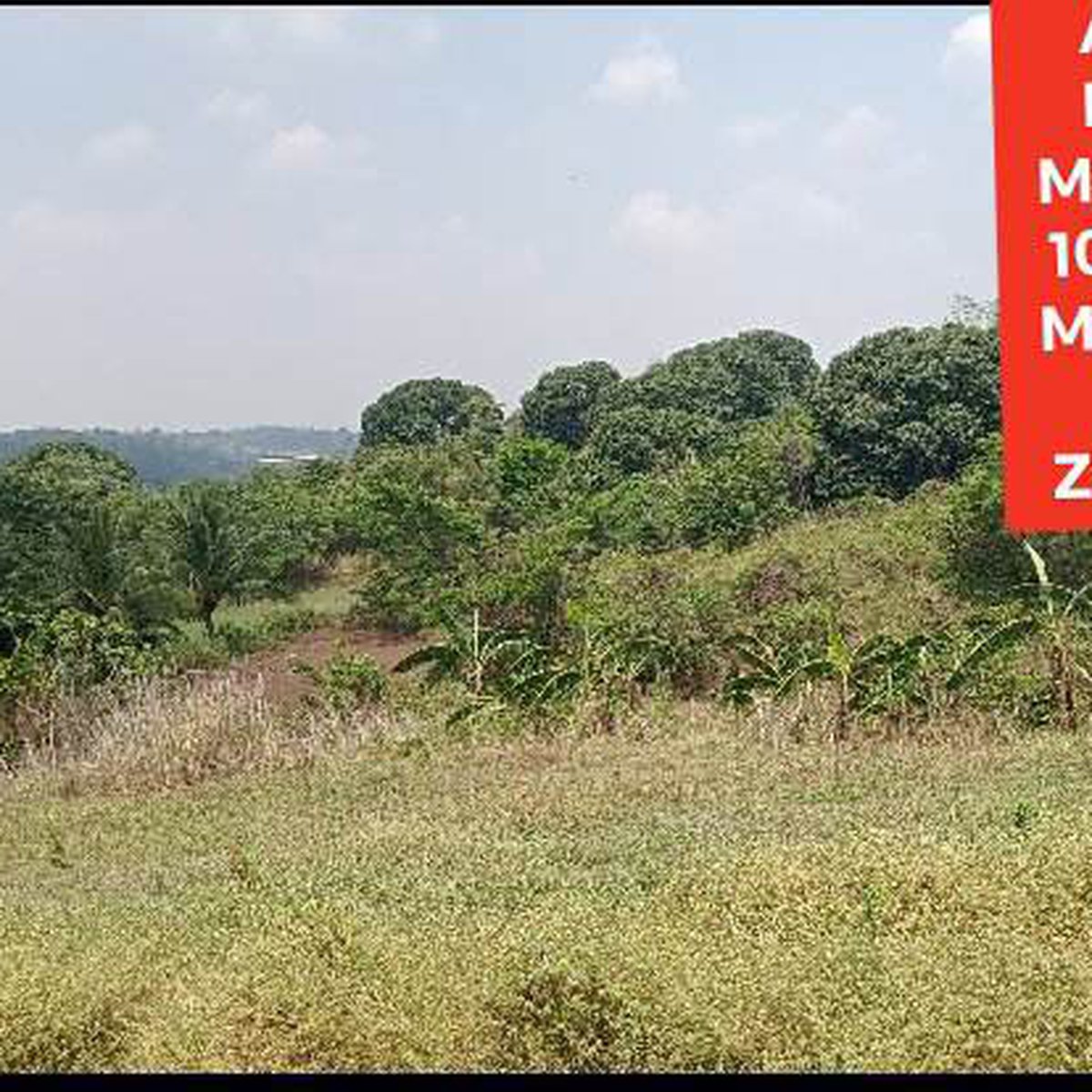 Affordable Mini Farm Lot in Norzagaray [Lot 🚜] (January 2024) in