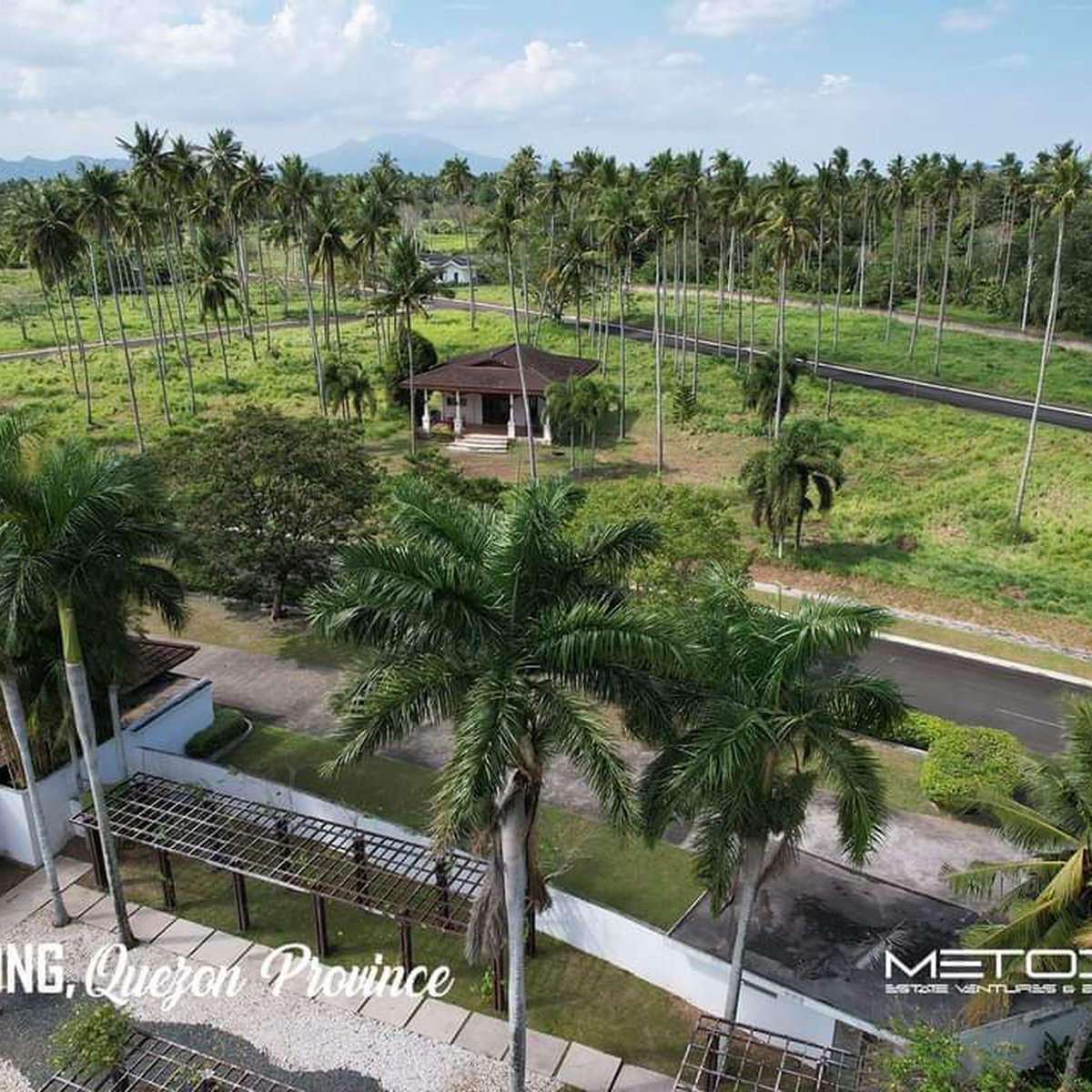 BUILD YOUR DREAM HOUSE HERE! THIS IS WHERE YOU RETIRE. [Lots 🚜] (June