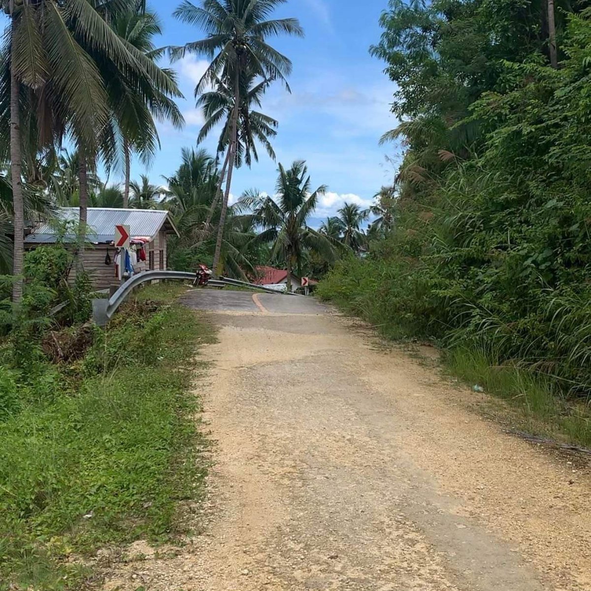 1000 sqm Residential Farm For Sale [Lot 🚜] (March 2023) in Loon, Bohol