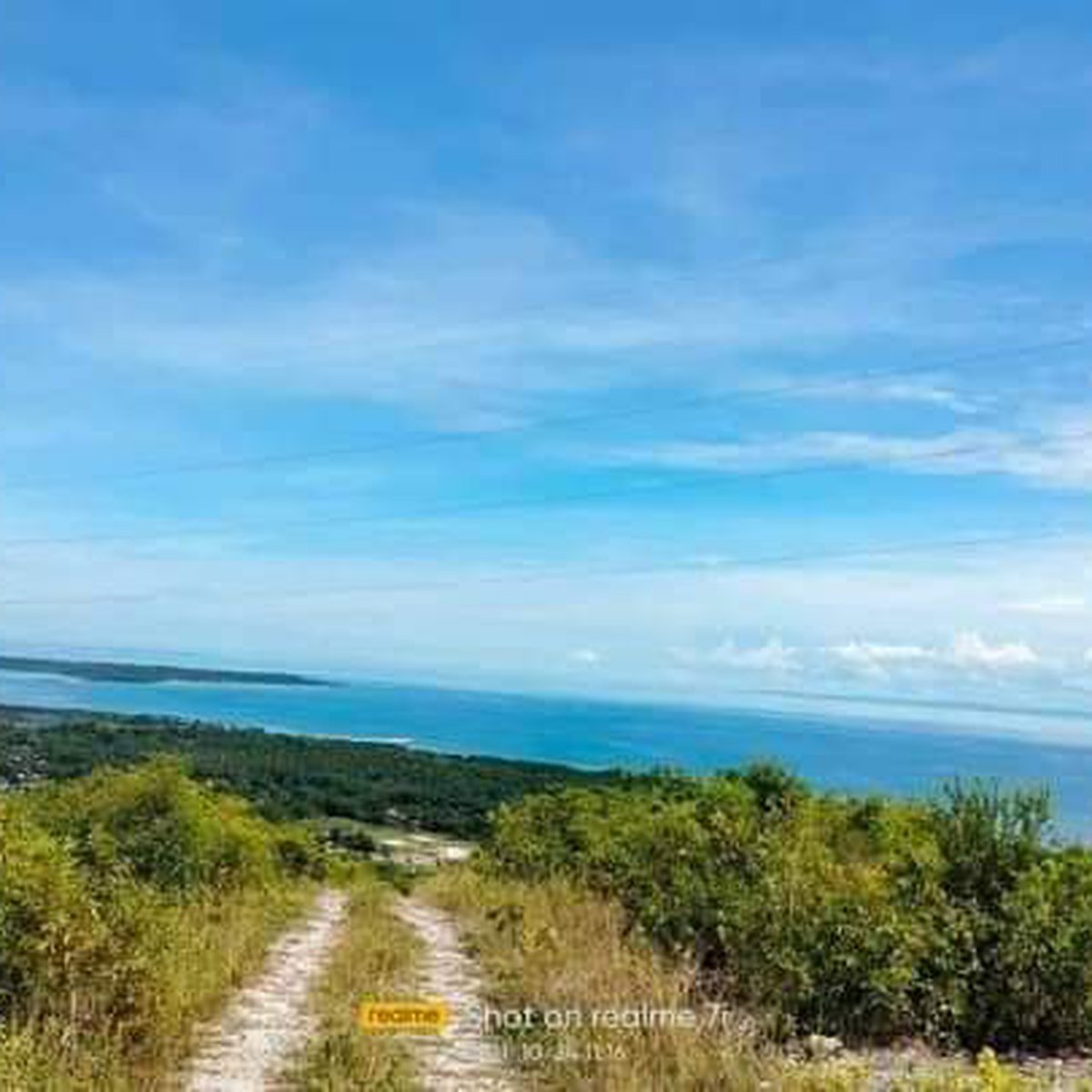 120 sqm Residential Lot For Sale in Sibonga Cebu [Lot 🚜] (October 2023