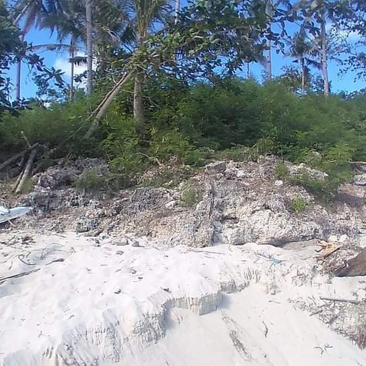 3000 sqm Beachfront Property For Sale in Anda Bohol [Beach Property 🏖️] (August 2024) in Anda