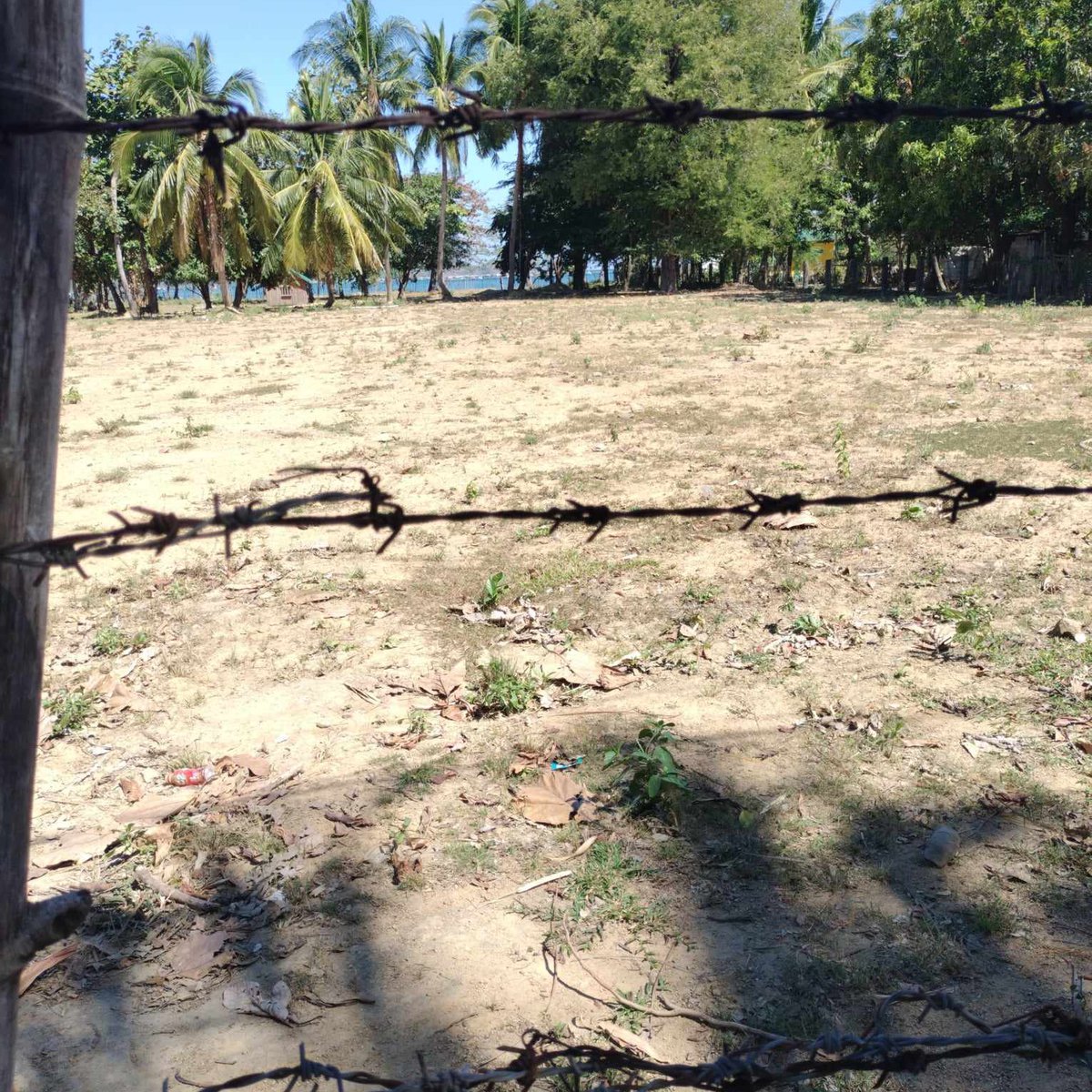 1.5 hectares Beach Property For Sale in Sual Pangasinan [Beach Property