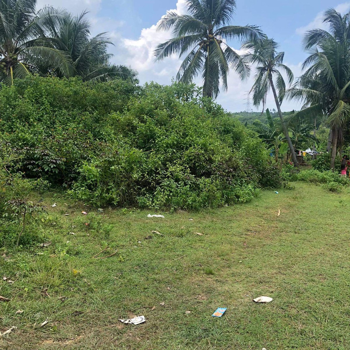 7377 sqm Residential Farm For Sale in Daanbantayan Cebu [Lot 🚜] (August