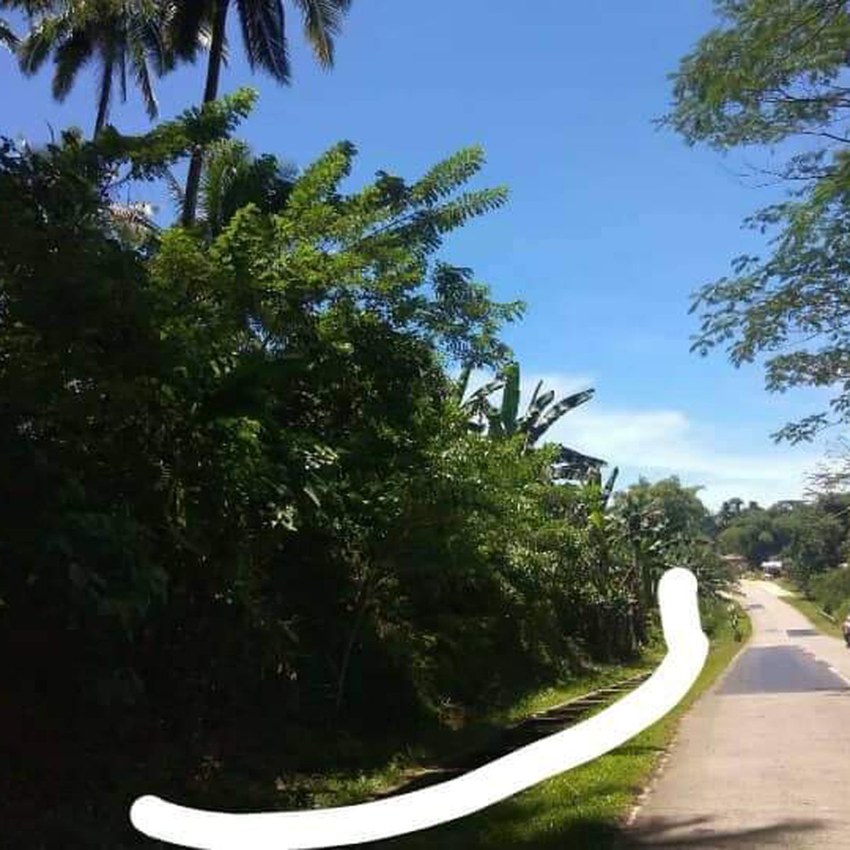 Accessible along the hi way [Lot 🚜] (May 2023) in Cateel, Davao