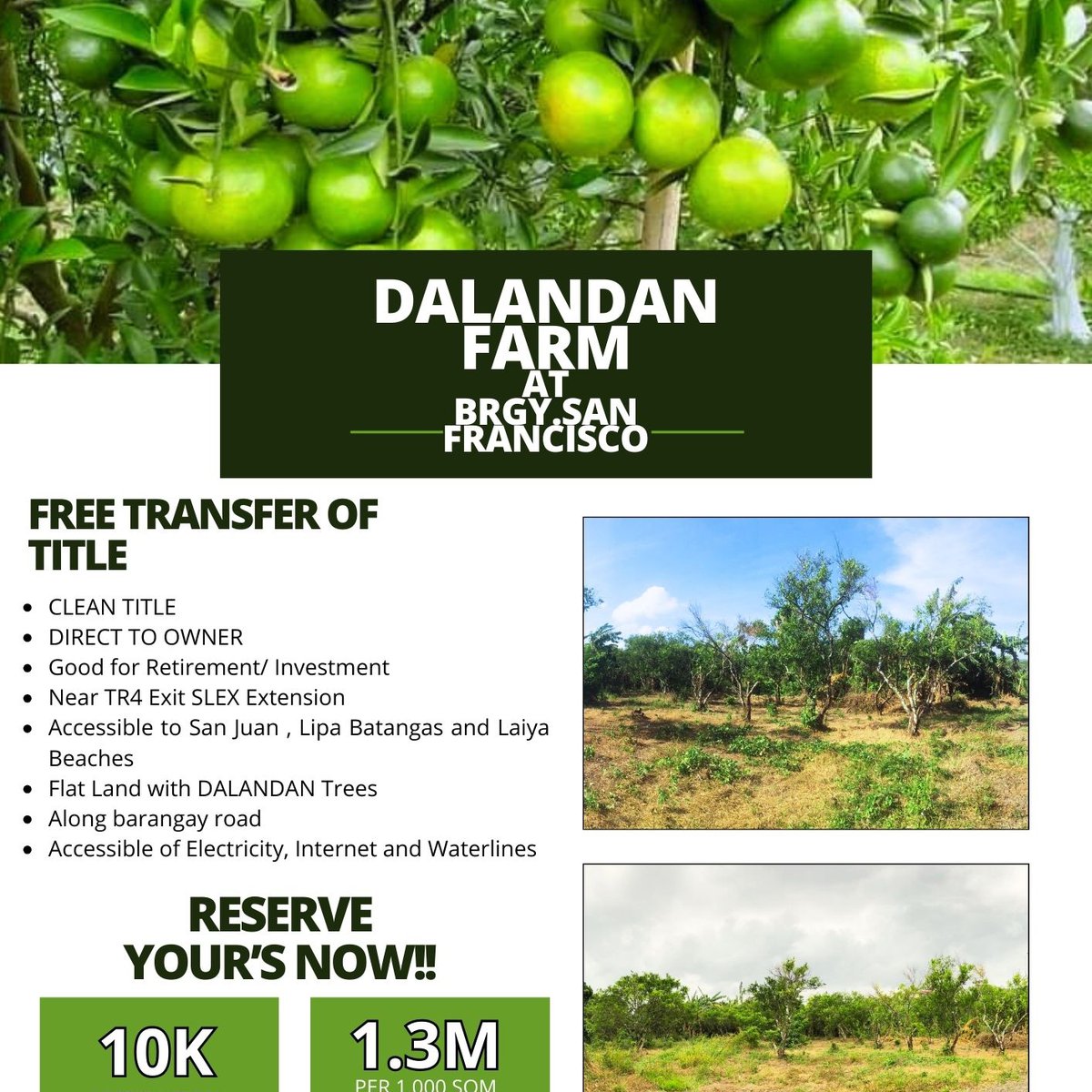 1,000 sqm Agricultural Farm For Sale in Tiaong Quezon [Lot 🚜] (June