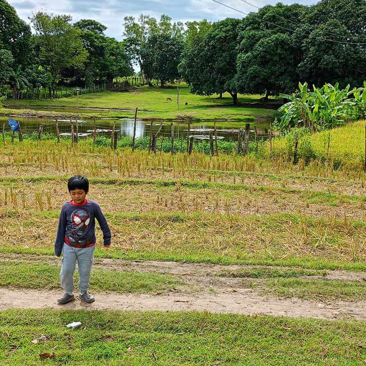 700 sqm Residential lot for sale in Gerona, Tarlac City [Lot 🚜] (September 2024) in Gerona