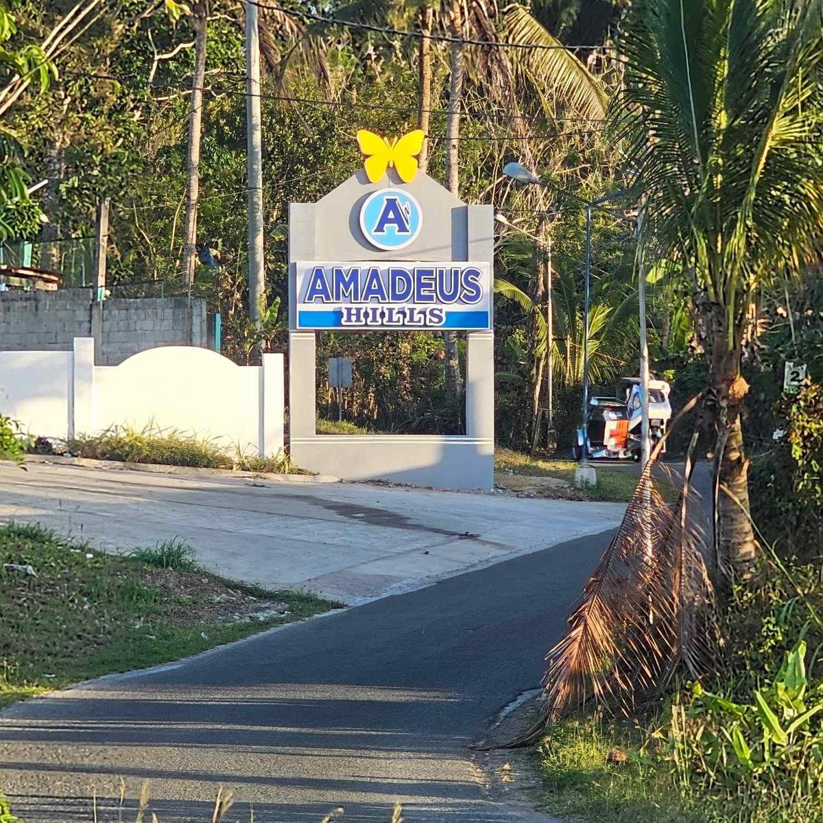 120 sqm Raw Land for Sale in Amadeo Cavite [Lot 🚜] (March 2024) in