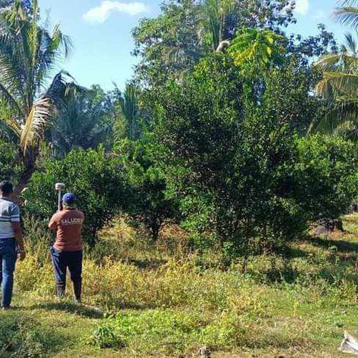 MINI FARM RESIDENTIAL LOT at Montecillo Sariaya Quezon [Lot 🚜] (August