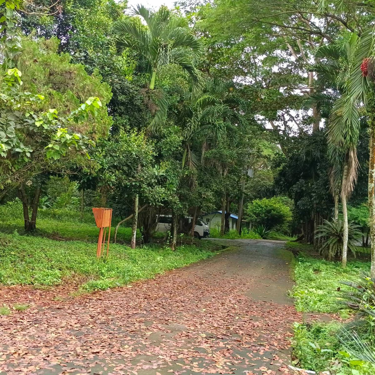 FARM LOT IN TANAY RIZAL [Lot 🚜] (March 2024) in Tanay, Rizal for sale