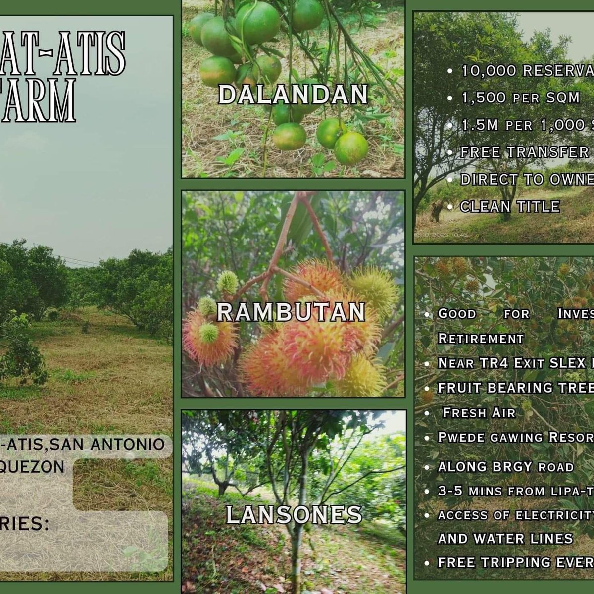 Farmlot for sale in Brgy. San Antonio Quezon [Lot 🚜] (February 2024) in