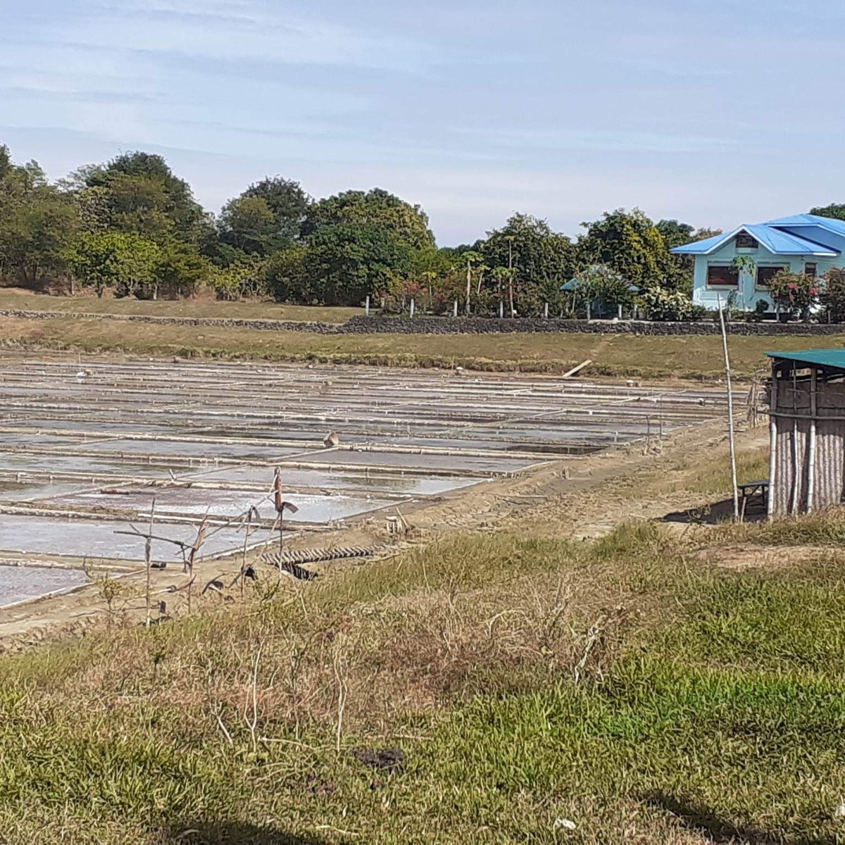 160000 sqm ASINAN o SALT FISHPOND in Alaminos Pangasinan [Lot 🚜