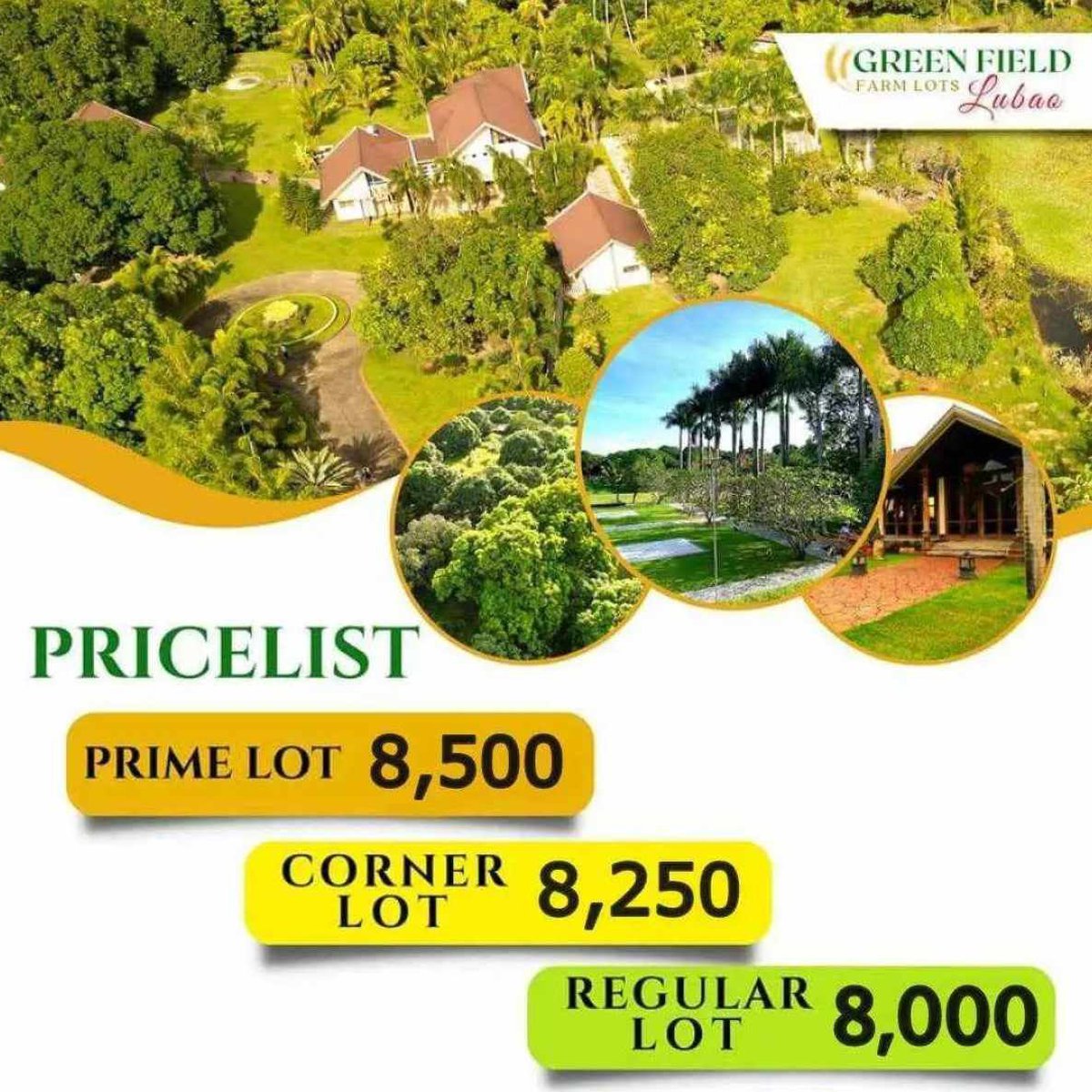 Executive Residential Farm Lot [Lot 🚜] (March 2024) in Lubao, Pampanga