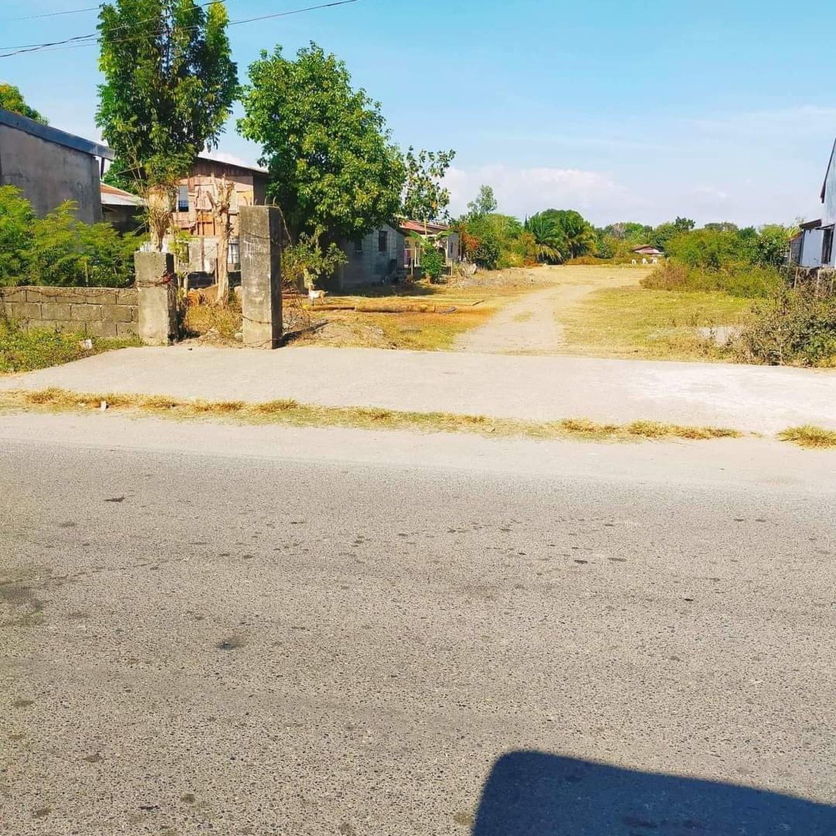 200 sqm Residential Lot For Sale in Mangaldan Pangasinan Negotiable