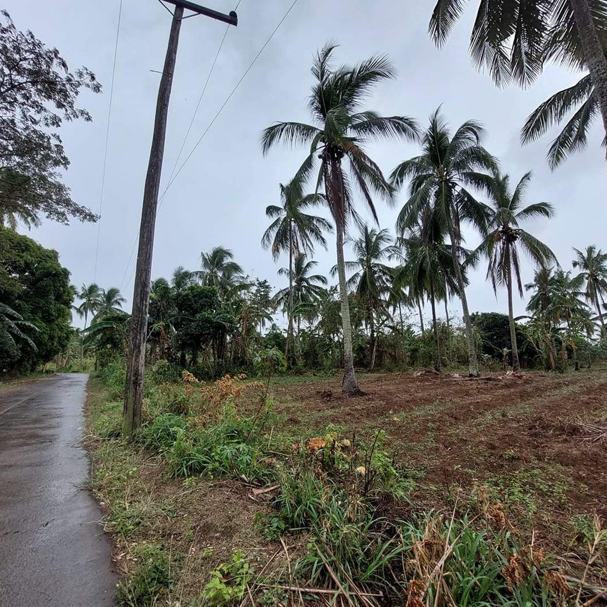 Residential Farm Lot For Sale [Lot 🚜] (June 2022) in Magallanes, Cavite