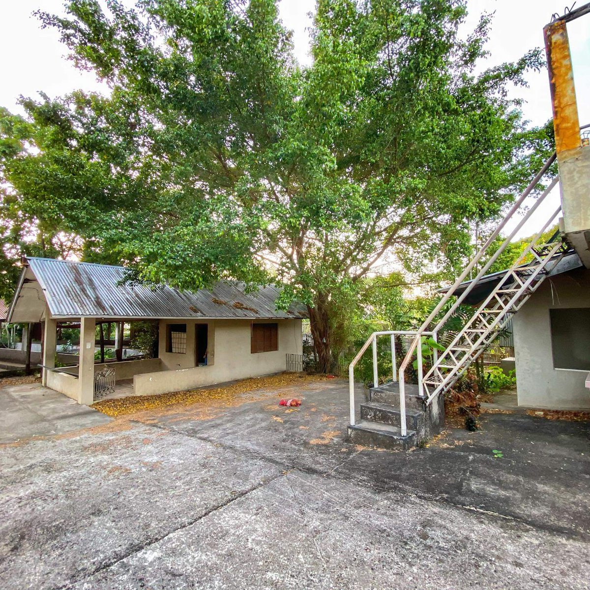 Farm Lot for Sale in Pililla Rizal Lot Area 3512 sqm [Lots 🚜] (August