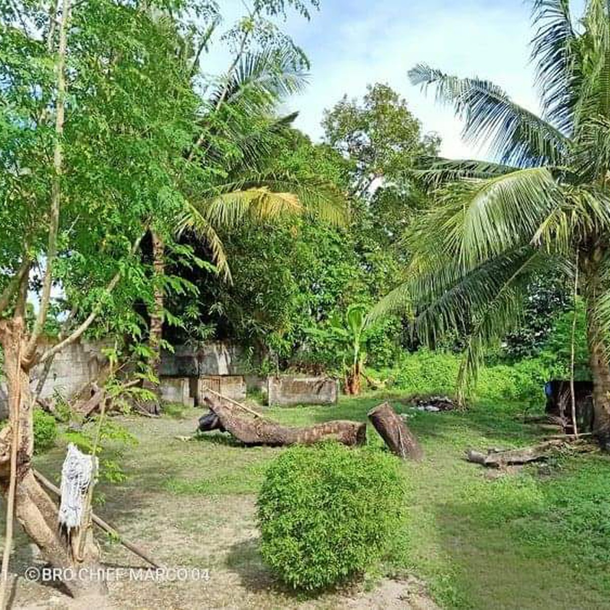 House and Lot in Bataan can be use as retirement a farm house [House