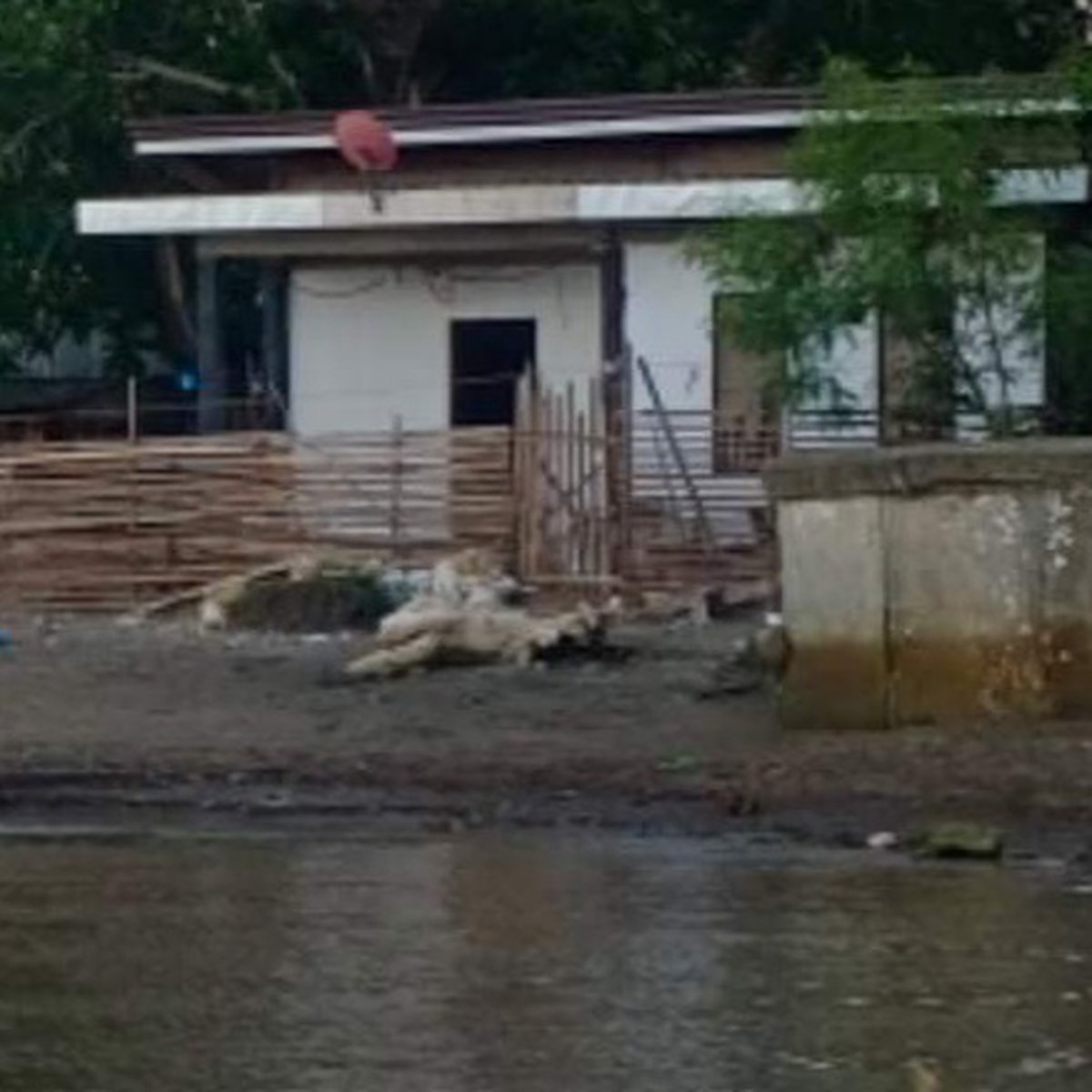 House & Lot [House and Lot 🏘️] (January 2023) in Surigao City, Surigao