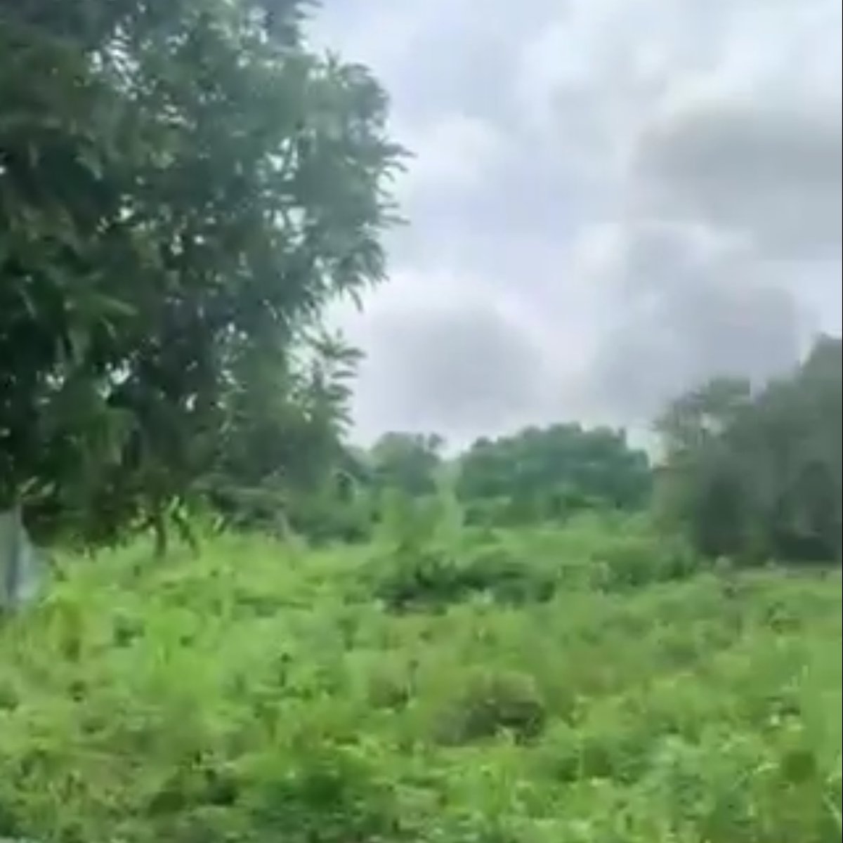 Affordable Residential farm lot in Pililla Rizal [Lot 🚜] (September