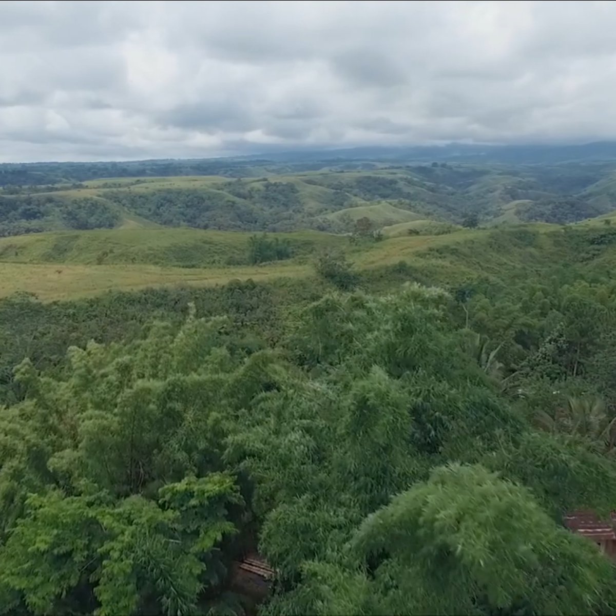 1000sqm FARM LOT FOR SALE AT Brgy Kalugmanan, Manolo Fortich Bukidnon