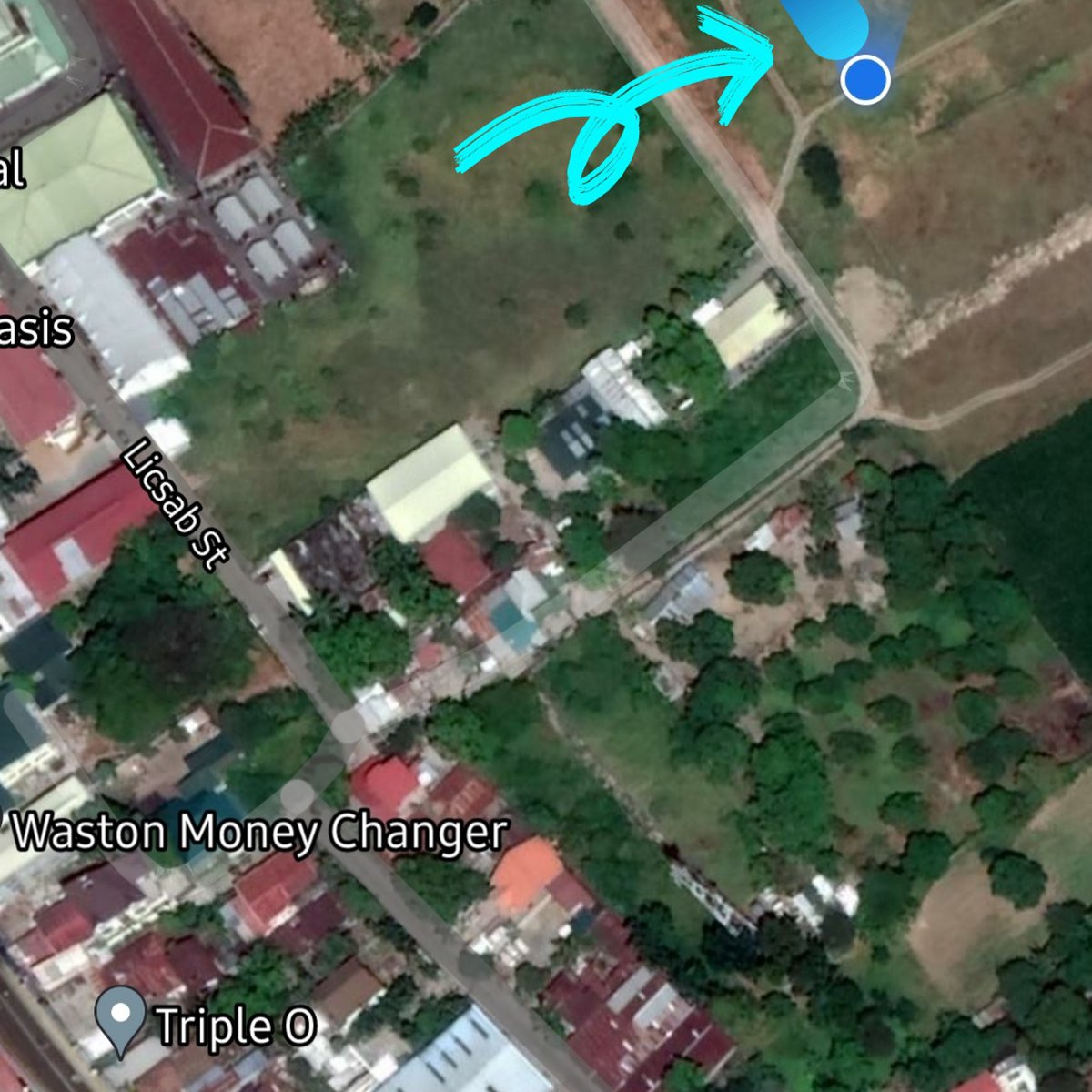 3569 sqm Residential Farm For Sale [Lot 🚜] (February 2022) in Villasis