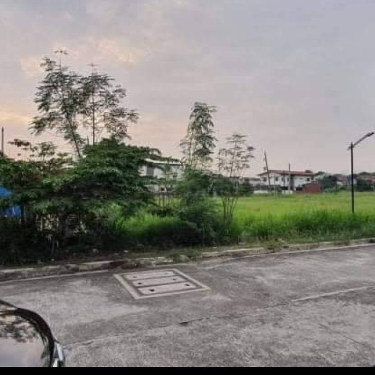 Residential lot with a total lot area of 300 sqm [Lot 🚜] (September