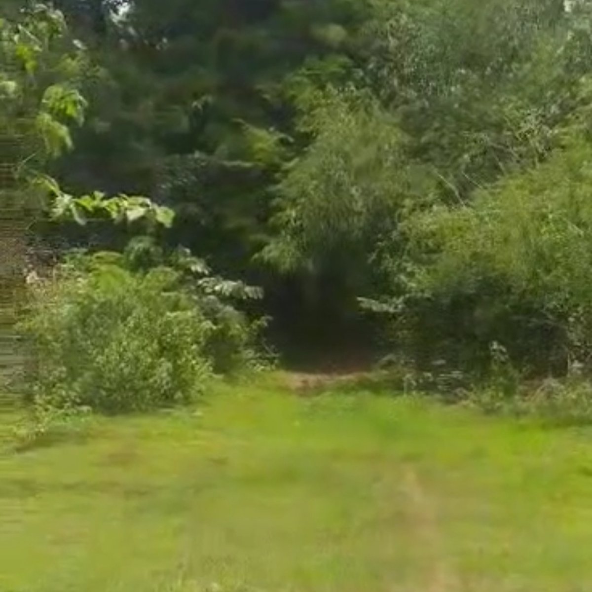 5 hectares Agricultural Farm For Sale in Mangatarem Pangasinan [Lot 🚜