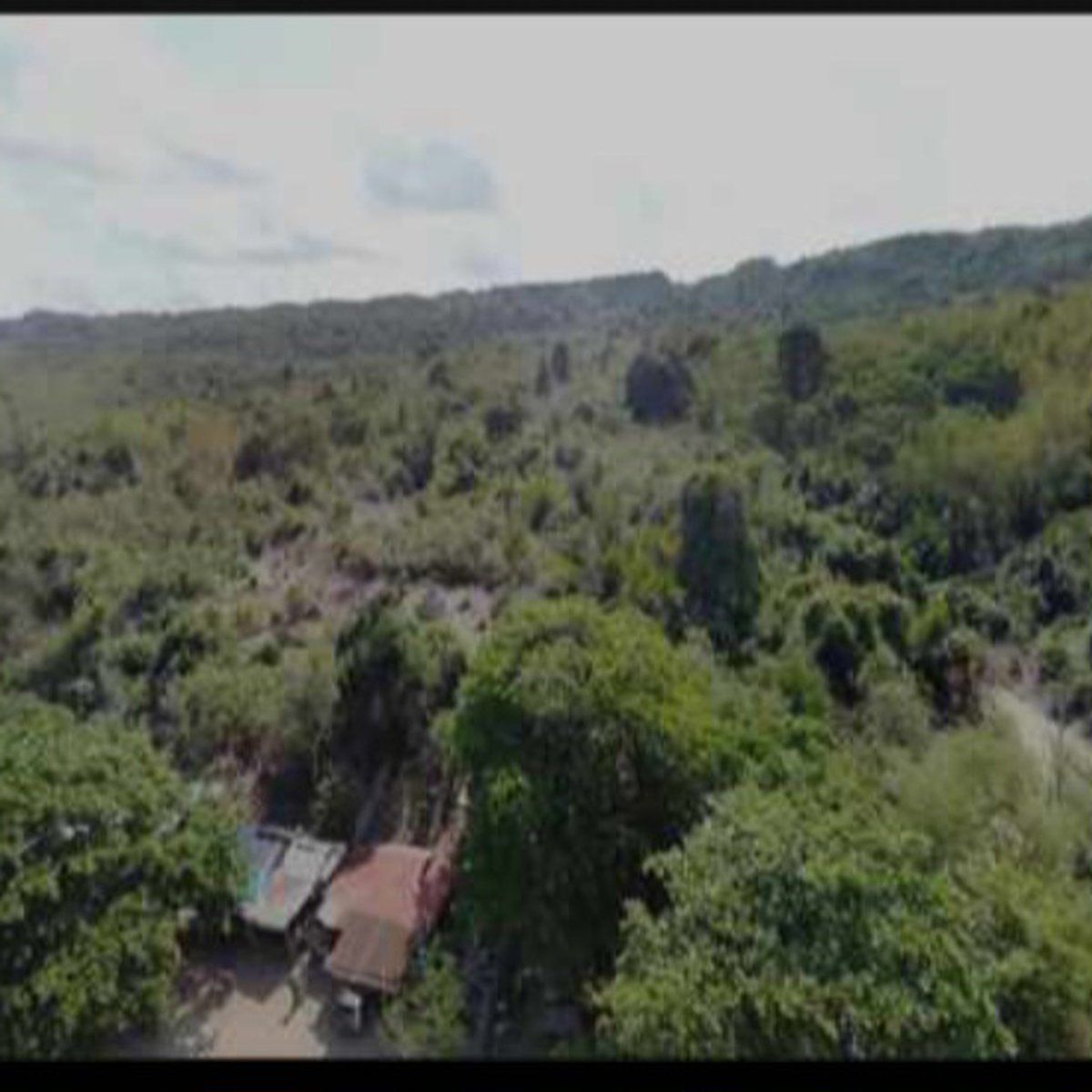 2 hectares Beach front for sale For Sale in Agno Pangasinan [Beach Property 🏖️] (September 2024
