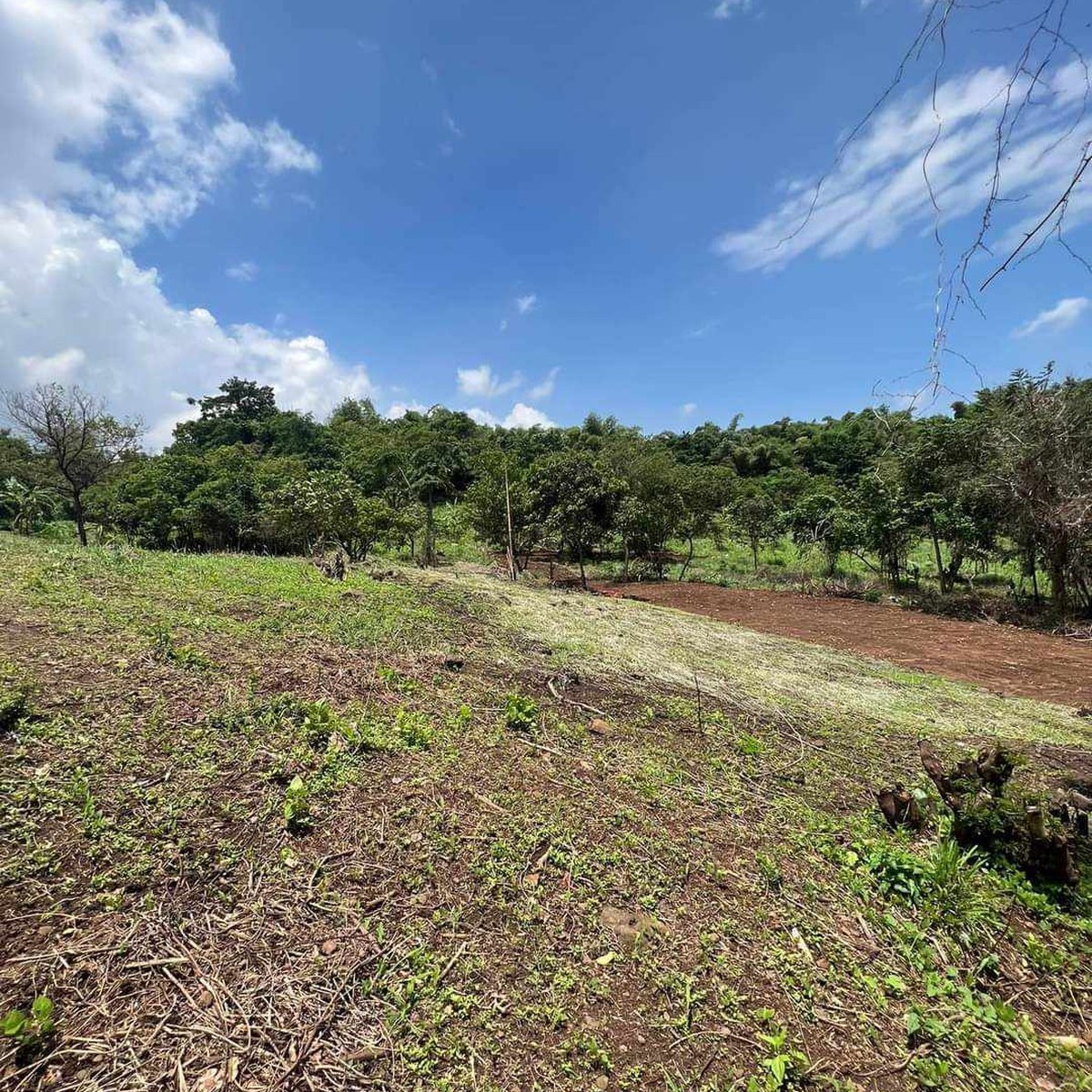Discounted 100 sqm Residential Farm For Sale in Morong Rizal [Lot 🚜