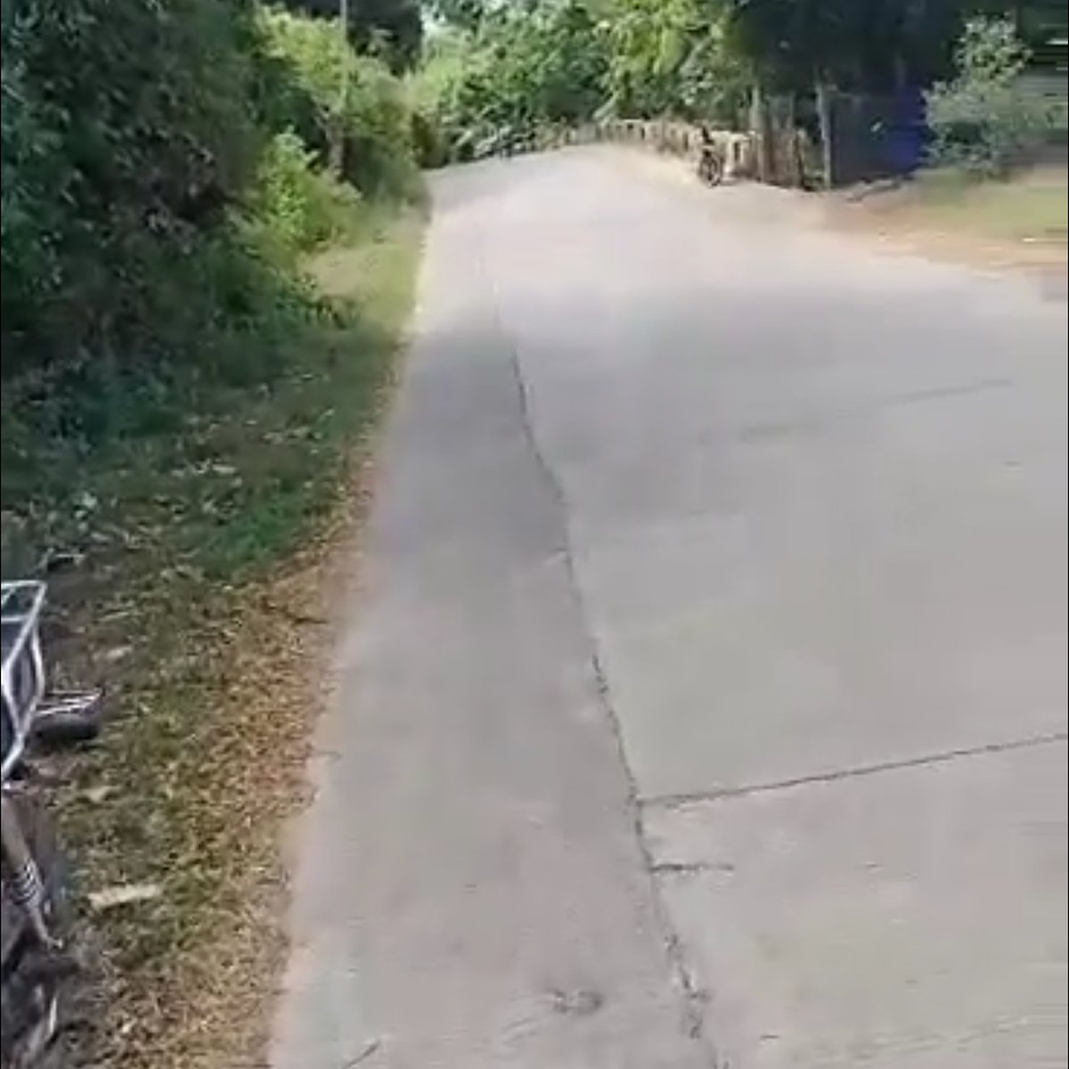 5 hectares Agricultural Farm For Sale in Sual Pangasinan [Lot 🚜