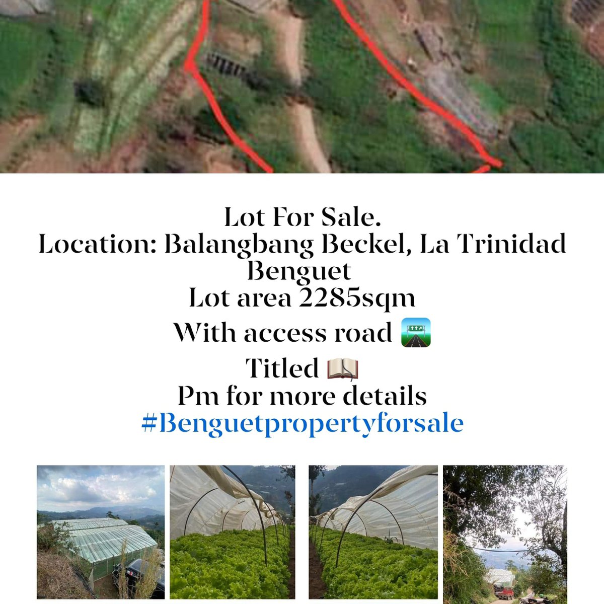 2,285 sqm Residential Farm For Sale in La Trinidad Benguet [Lot 🚜] (May
