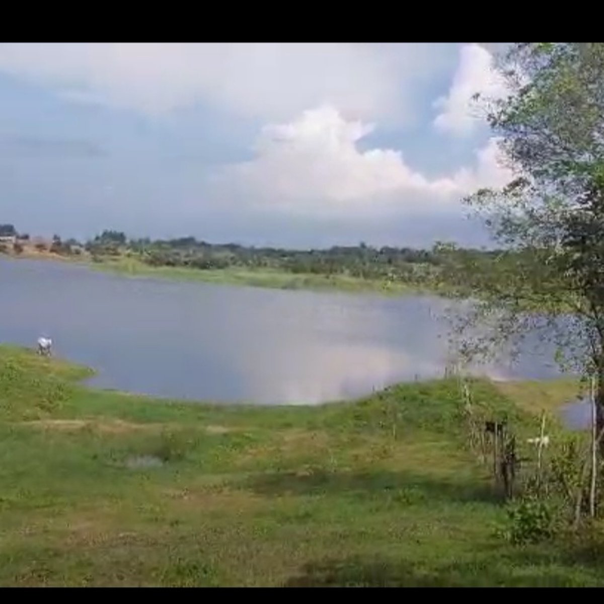 210 has agricultural farm with lake for sale in umingan pangasinan