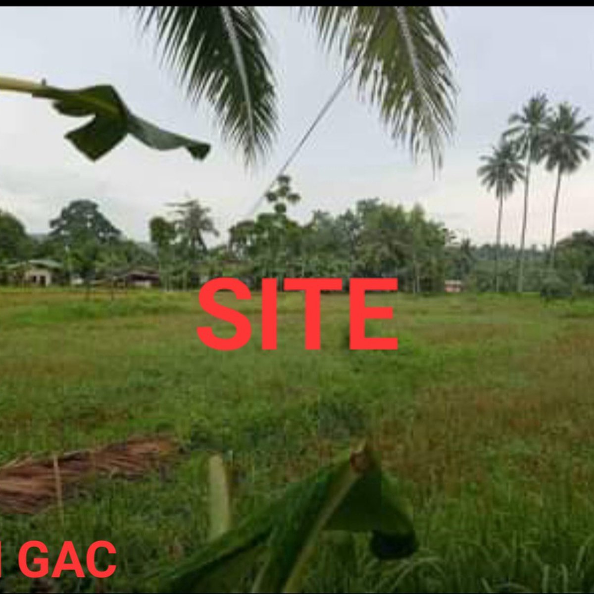 6,000sqm lot for sale in Barili along Tourism highway [Lot 🚜] (August ...