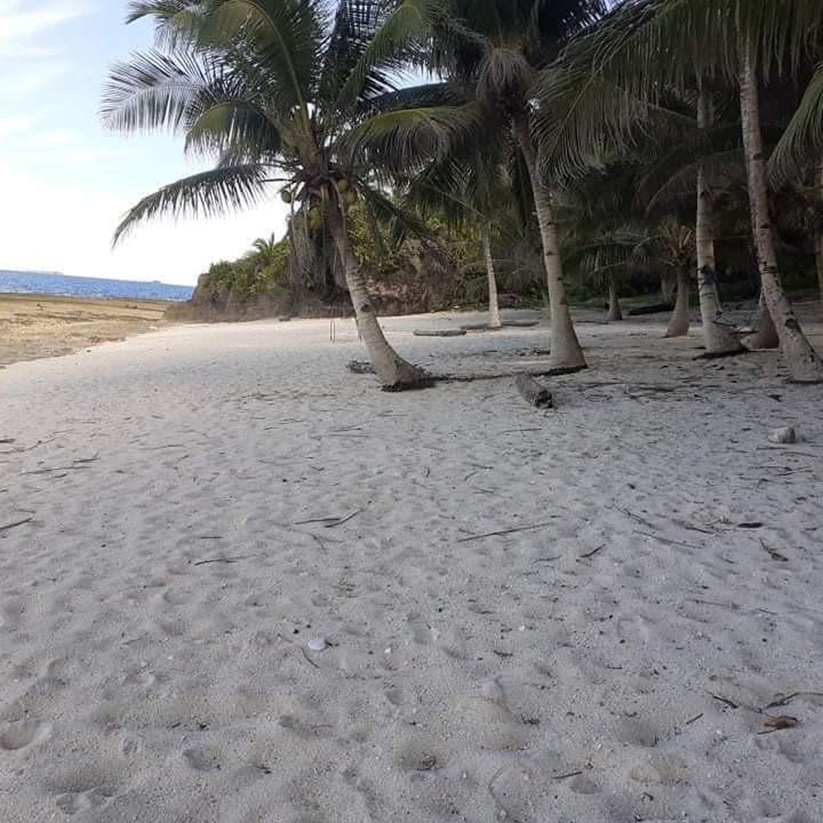 SIARGAO BEACH FRONT [Beach Property 🏖️] (May 2024) in Pilar, Surigao del Norte for sale