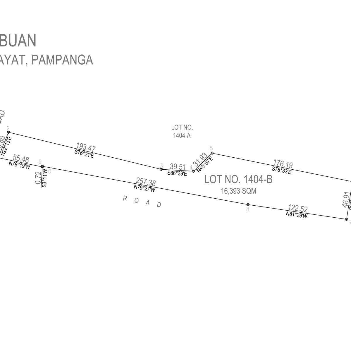 Agricultural Land in Tabuan, Arayat Pampanga (CORNER LOT) CLEAN TITLE