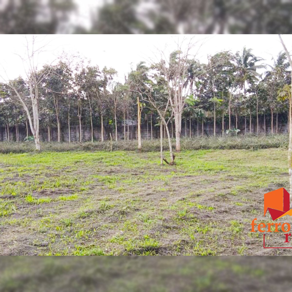 13,846 sqm Residential Lot For Sale in Amadeo Cavite [Lot 🚜] (December