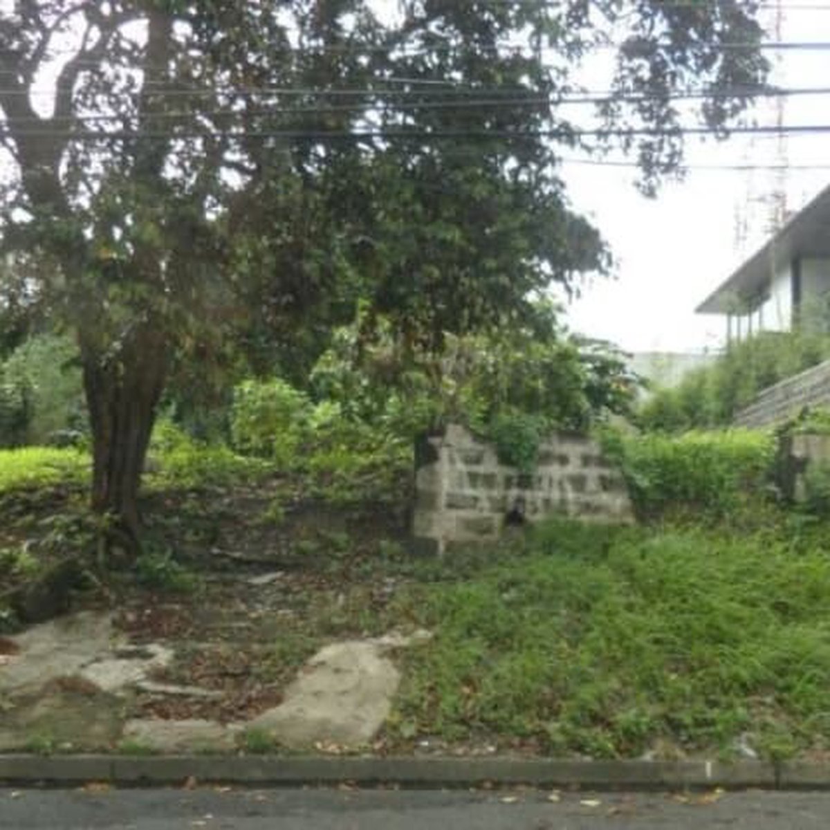 Vacant Lot in Varsity Hills [Lot 🚜] (June 2020) in Loyola Heights