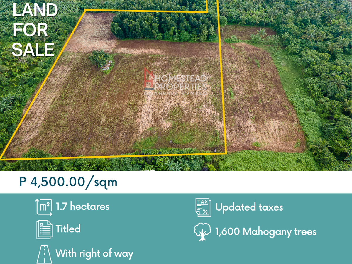 hectares-to-sqm-rededuct