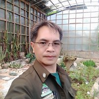 Orlando gasingan