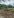 Batangas Residential & Lots