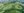Ayala Land South Palmgrove Lipa City Lot for Sale