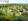 Southdale Setting Nuvali: Built by a Trusted and Reliable Developer