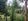 For sale title farm lot with water and access for electricity