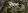 Vine Residences: Luxury Living in Nature's Haven