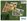 Ajoya Capas by AboitizLand in Tarlac:Invest Own Build your Dream House on a Residential Lot for Sale