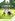 Build your Dream House in Easy to Own Residential Lot for Sale in Town and Country San Pablo Laguna