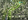 Sereneo: Tranquil residential lots in NUVALI's eco-community